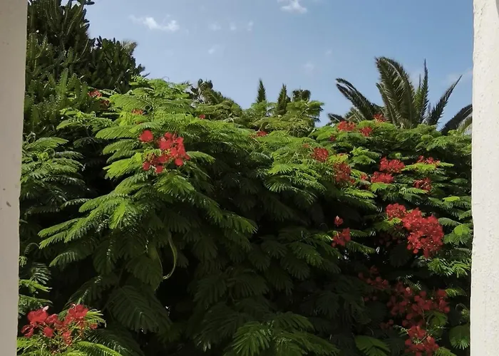 Apartament Sol Tropical Apartment,