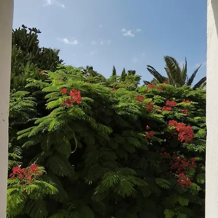 Appartement Sol Tropical Apartment,